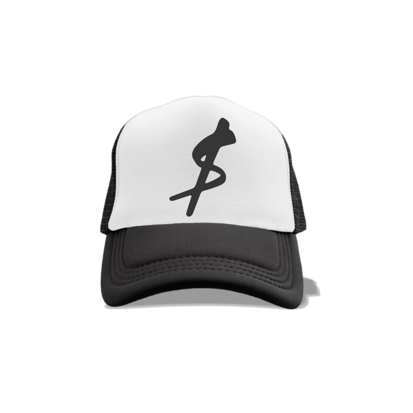 Dollar sign Hat